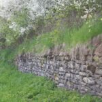 VOGEL- UND NATURSCHUTZGRUPPE MAULBACH