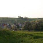 Pachtflächen pflegen