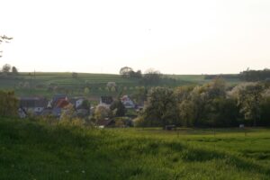 Mehr über den Artikel erfahren Wölfe