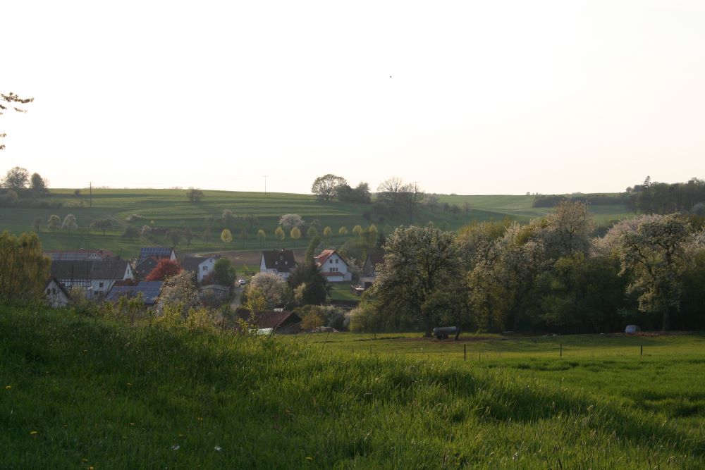 Mehr über den Artikel erfahren Pachtflächen pflegen