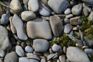 Mehr über den Artikel erfahren Mitglieder, Mitgliedsbeitrag, Beitrittserklärung