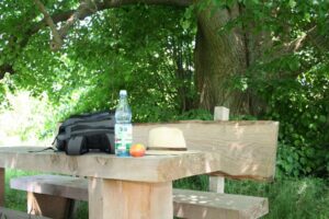 Mehr über den Artikel erfahren Bänke betreuen