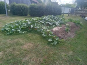 Mehr über den Artikel erfahren Permakulturgruppe