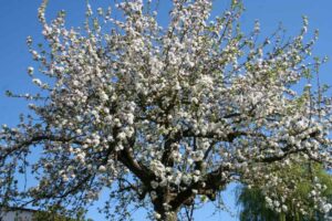 Mehr über den Artikel erfahren Vorstand 2025