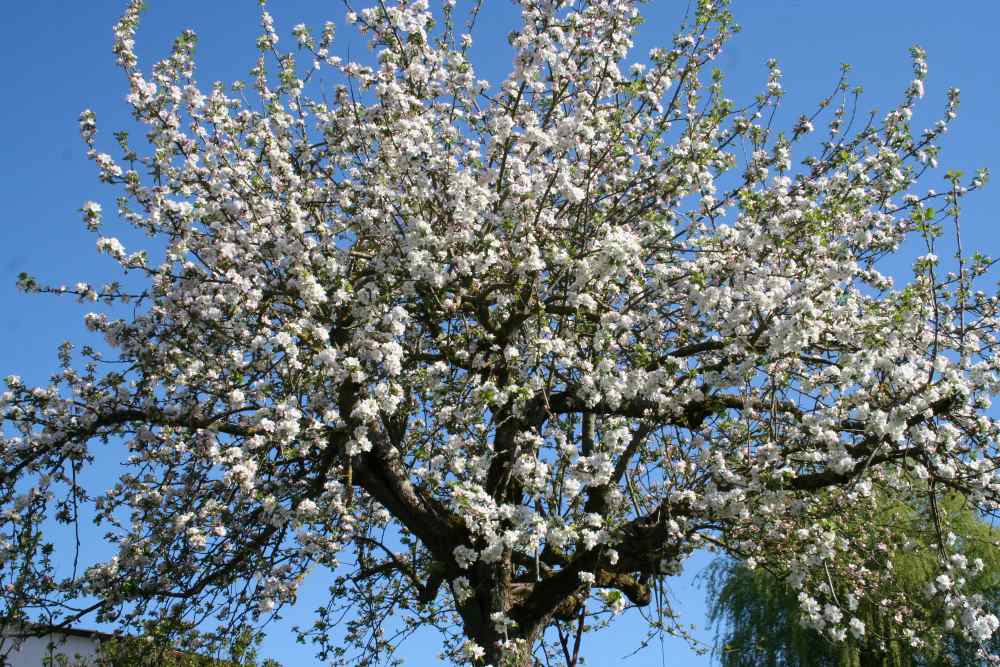 Mehr über den Artikel erfahren Vorstand 2025